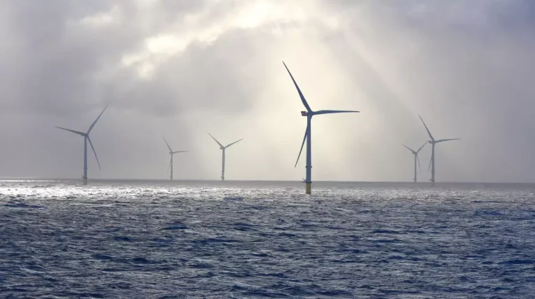 România face un pas important spre energia eoliană din Marea Neagră. Investițiile ar putea aduce până la 27 de miliarde de euro în economie