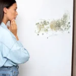 Mucegaiul din locuință poate deveni o problemă pentru sănătate. Semnele care arată că nu mai trebuie amânată intervenția